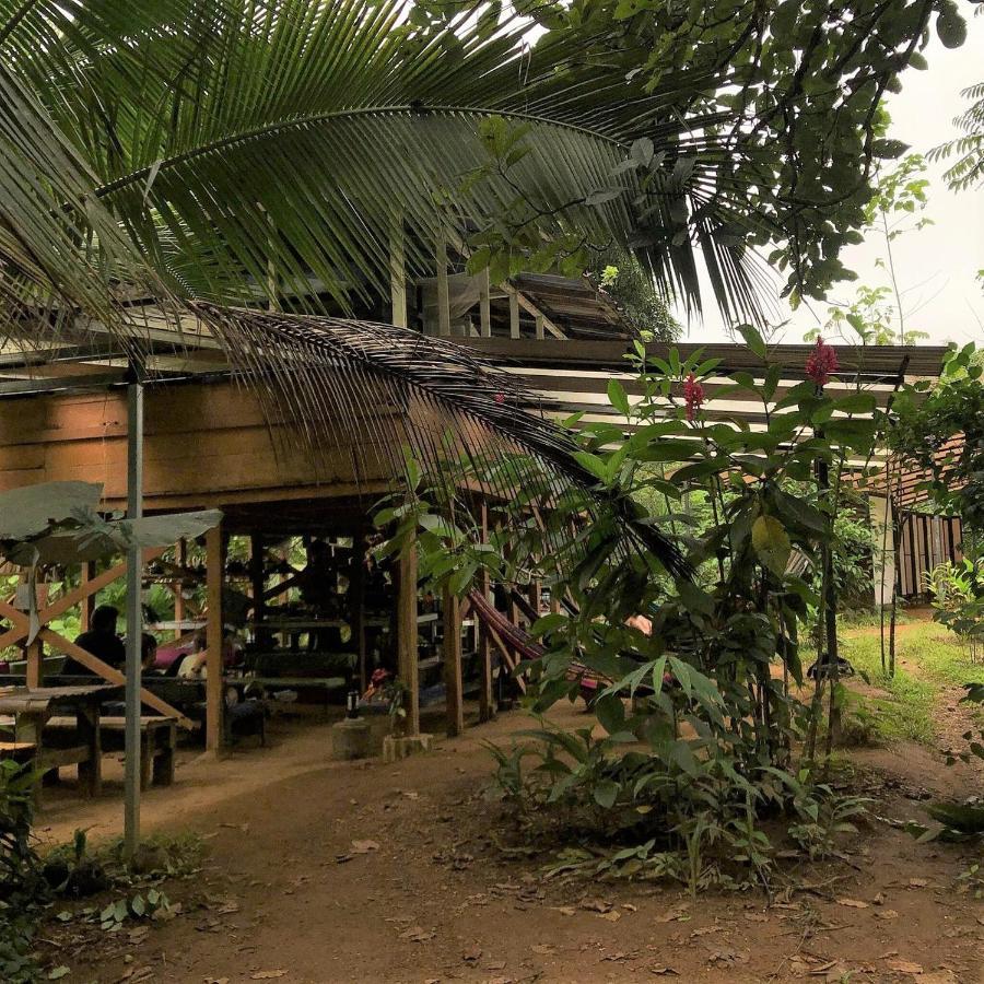 Bolita Trails And Lodging Dos Brazos Екстериор снимка
