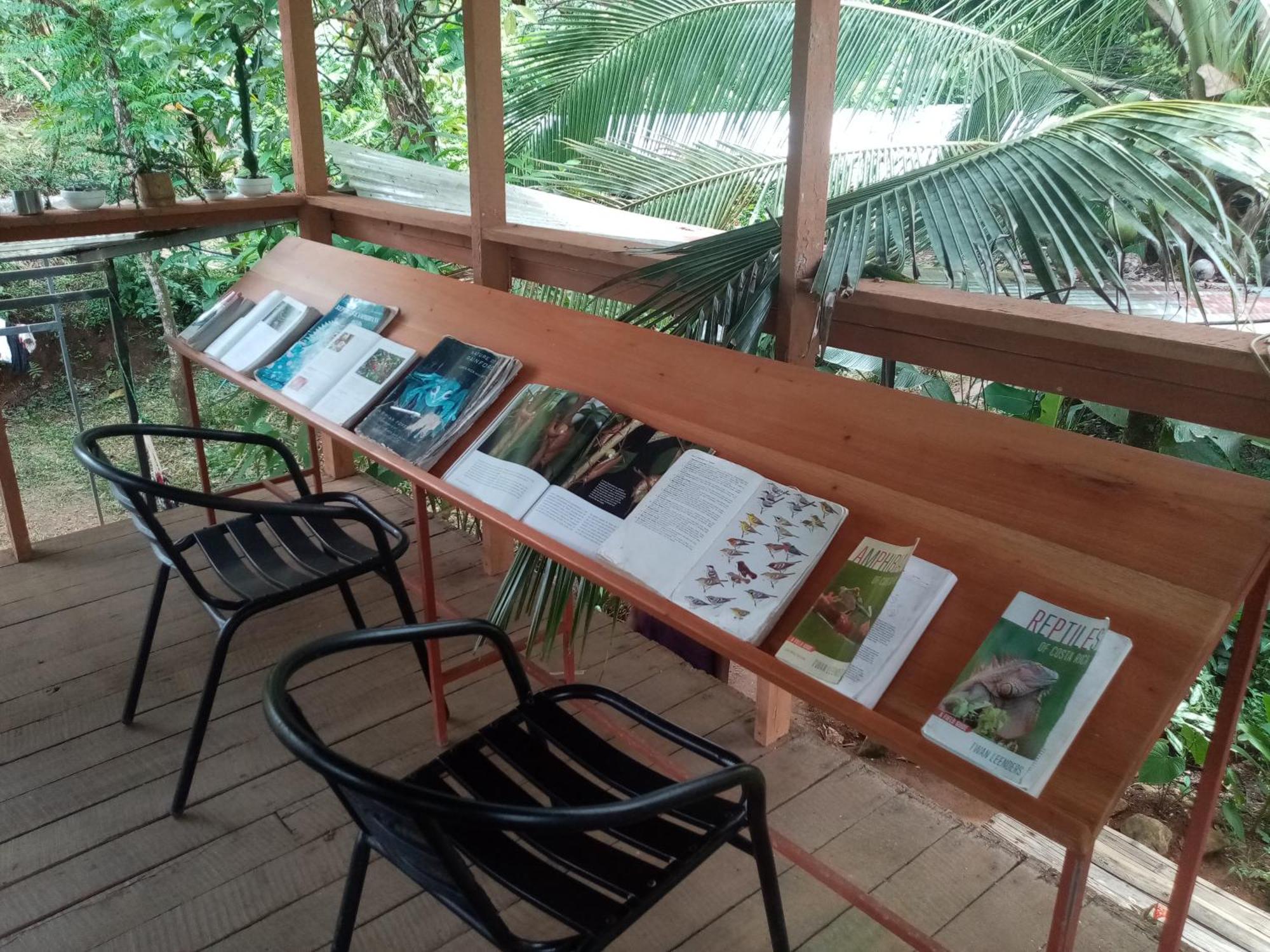 Bolita Trails And Lodging Dos Brazos Екстериор снимка